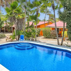 Tropical Divers Hotel